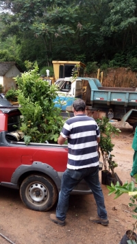 Produtores de Tombos recebem mudas de árvores frutíferas